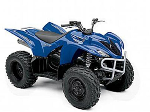 Wolverine 350/450